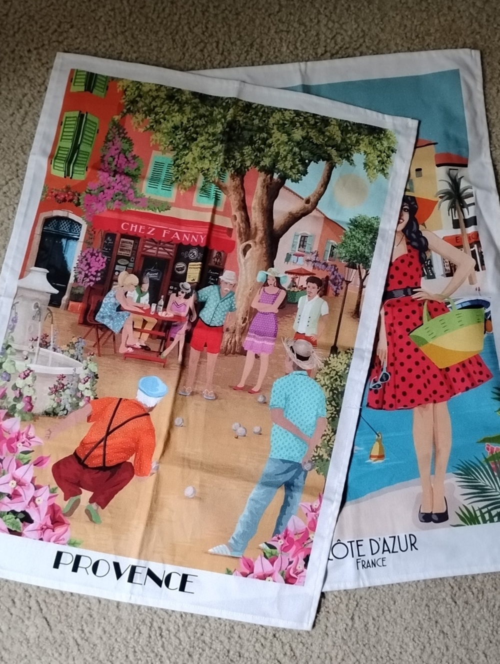 2 Colorful Tea Towels- Scenic Village Designs